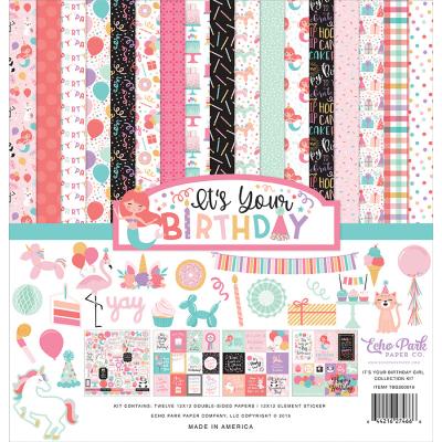 Echo Park It's Your Birthday Girl Designpapier - Collection Kit